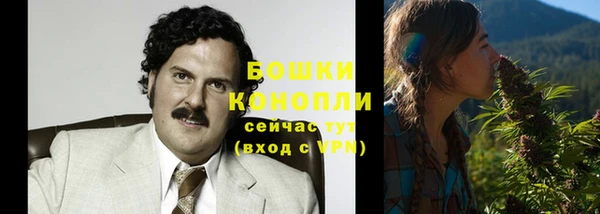 ALPHA PVP Ельня