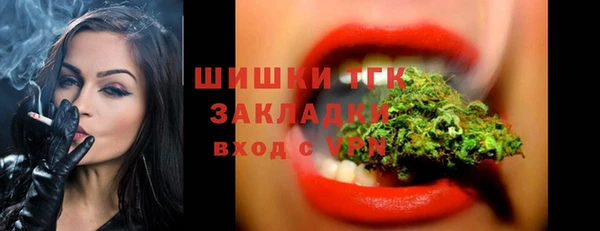 ALPHA PVP Ельня