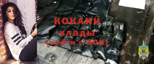 ALPHA PVP Ельня