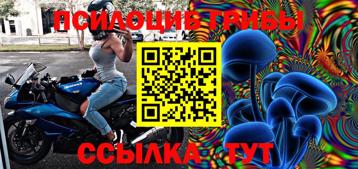 Заречный  Псилоцибиновые грибы мицелий  Вход с VPN 