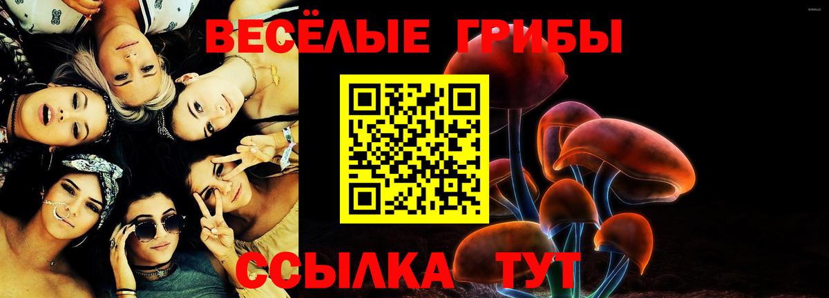 Галлюциногенные грибы Cubensis Заречный