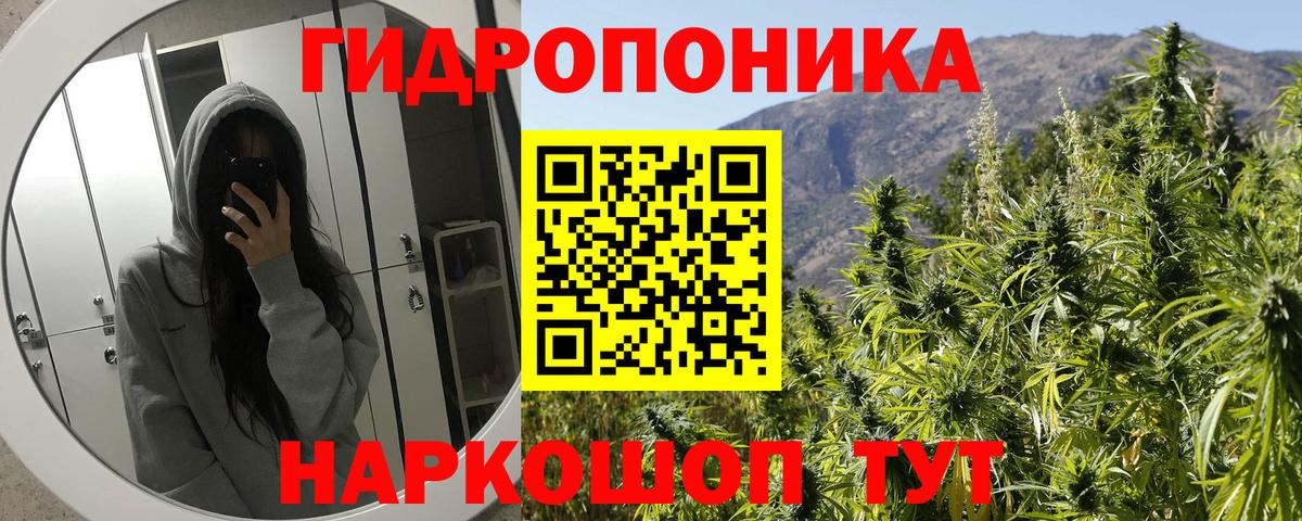 Заречный  Конопля сатива  Бошки Шишки VHQ  Вход с VPN  Канабис VHQ 